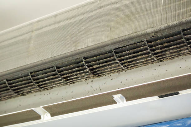 Best Ductwork Cleaning Services  in Glennville, GA